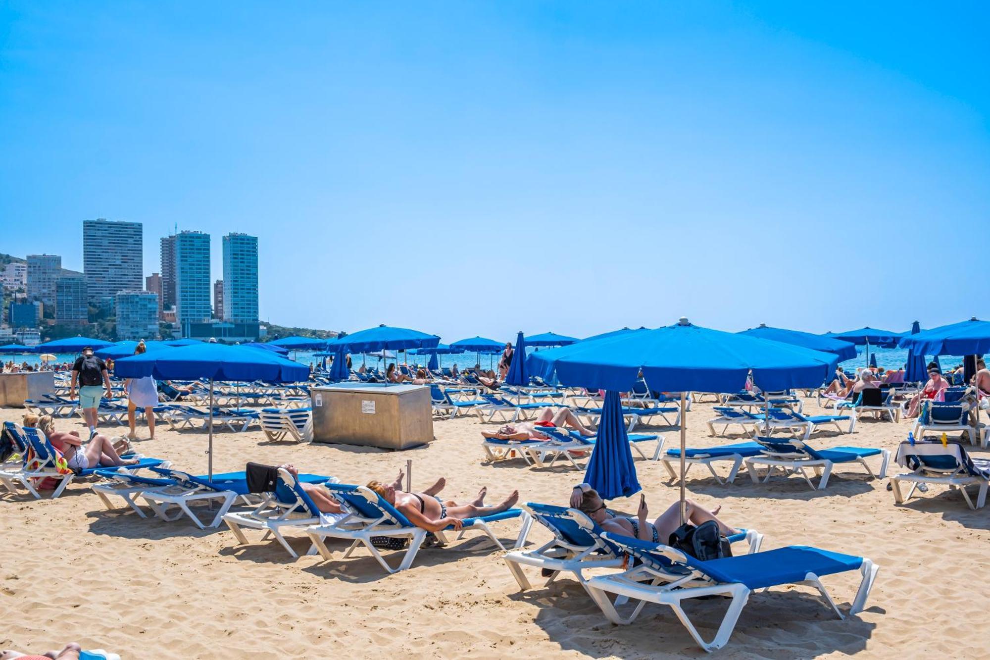 Alteanos 16-2 Apartment Levante Beach Benidorm Eksteriør bilde